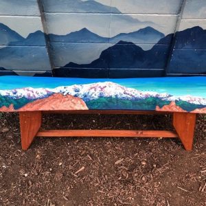 Pikes Peak and Garden of The Gods Single Snowboard Bench