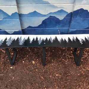 Steel Frame Monochrome Mystic Mountain Single Snowboard Bench