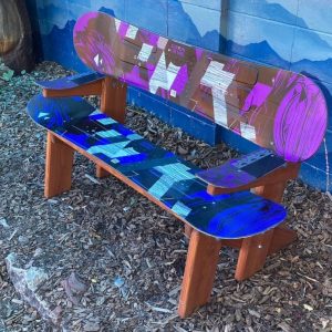 Snowboard Bench with Arm Rests
