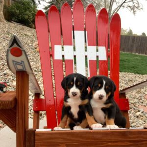 Swiss flag ski chair